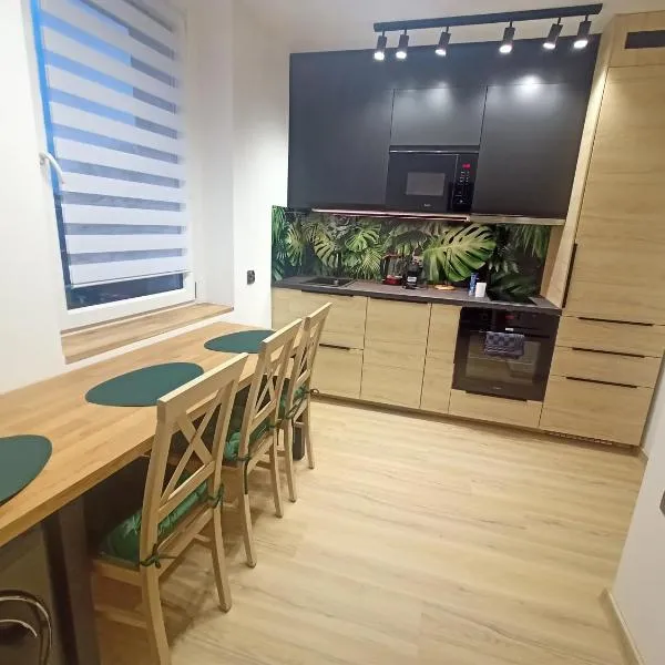 Apartament Radiostacja VI, trzypokojowe, klimatyzacja, parking free, hotel v destinácii Gliwice