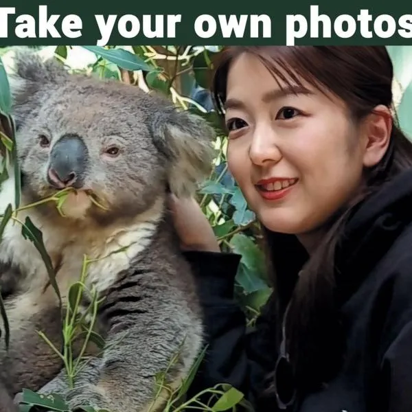 Lavers Hill में, होटल Fauna Australia Wildlife Experience