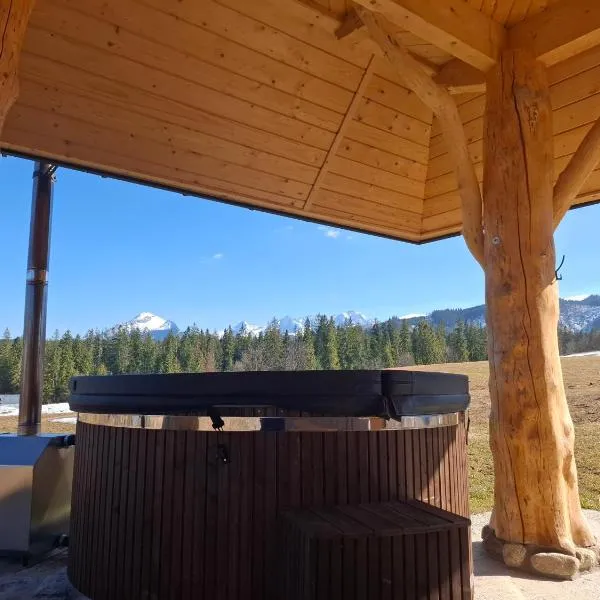 Domek Na Przełęczy wood house & mountain view, отель в Мужасихле