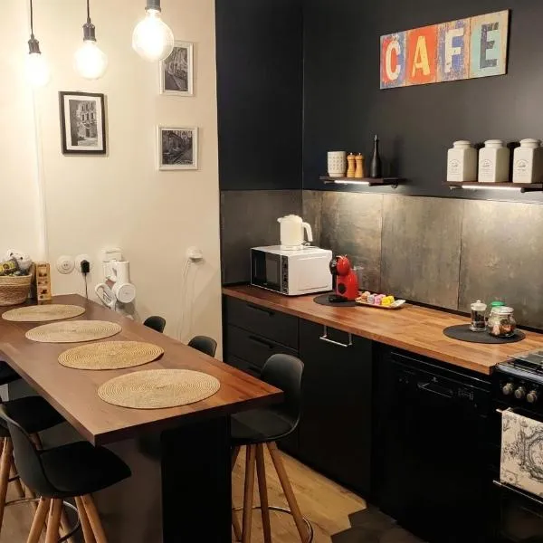 Charmant appartement cosy en hyper-centre, hôtel à Tours