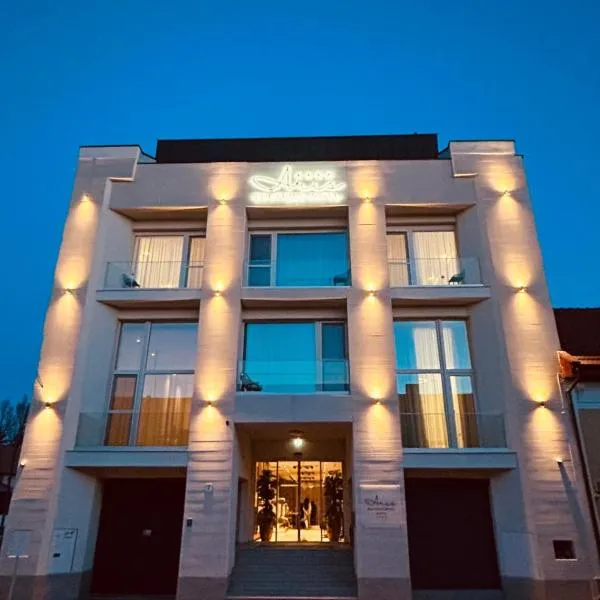 ARIS Boutique Hotel & SPA, hotel Nagyváradon