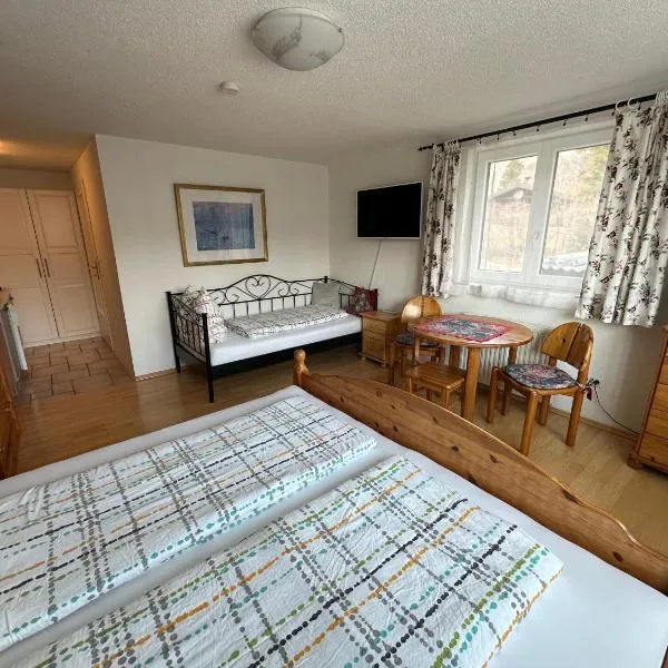 Auszeit Salzkammergut Appartements, hotel u gradu Bad Išl