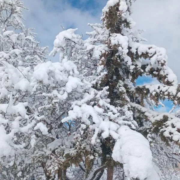 Gite Ain Bechar, hotel din Taza