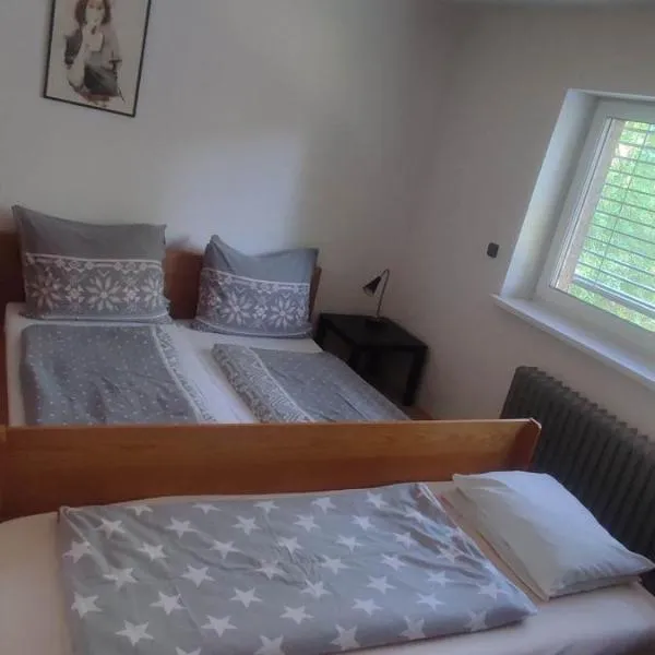 Apartmán Radim, Hotel in Vratimov