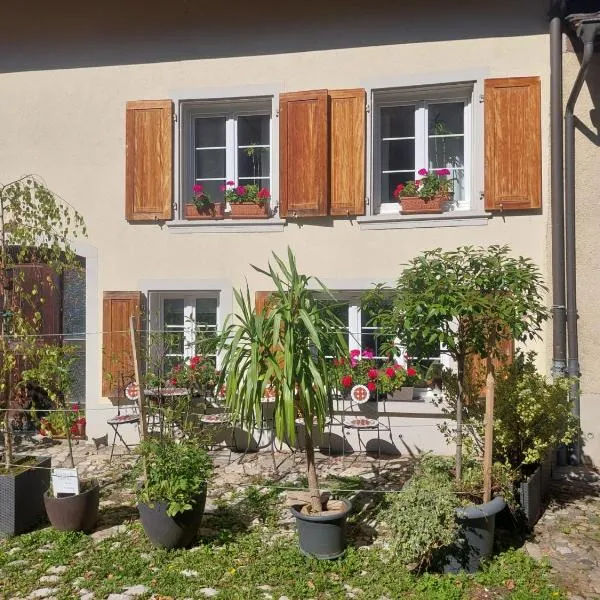 18th C Cottage near Basel, Hiking, Business, Couples, Families, Groups, Parking, Fast WiFi, Jura Mountains, מלון בWaldenburg