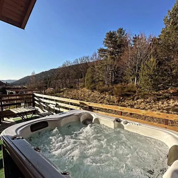 Grange de l'ancienne école avec Jacuzzi privé, hotel a Gérardmer