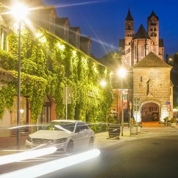 Kaiserstühler-Hof, khách sạn ở Breisach am Rhein