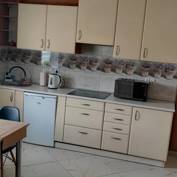Noclegi kawalerka apartament w centrum Dzierżoniowa podwórko grill wynajm krótkoterminowy, hotel v destinácii Dzierżoniów