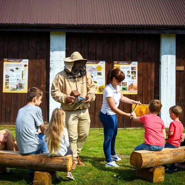 Miodowa Zagroda - nocleg Zator Energylandia, Hotel in Miejsce