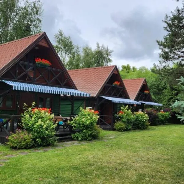 Domki letniskowe BAŁTYK, Hotel in Łeba