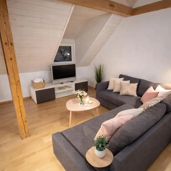 Charming attic duplex in Bern, hotel a Berna