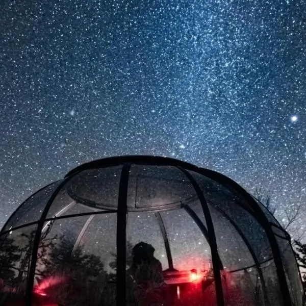 La Roche aux Fées, hotel a Lapte