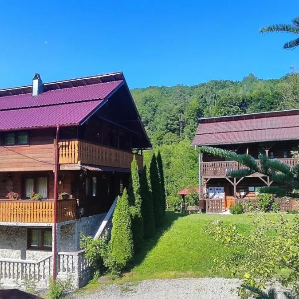 Pensiunea Simina, hotel in Vişeu de Jos