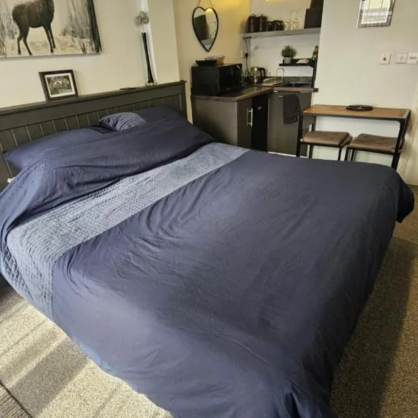 Hadrians wall studio, hotelli kohteessa Carlisle