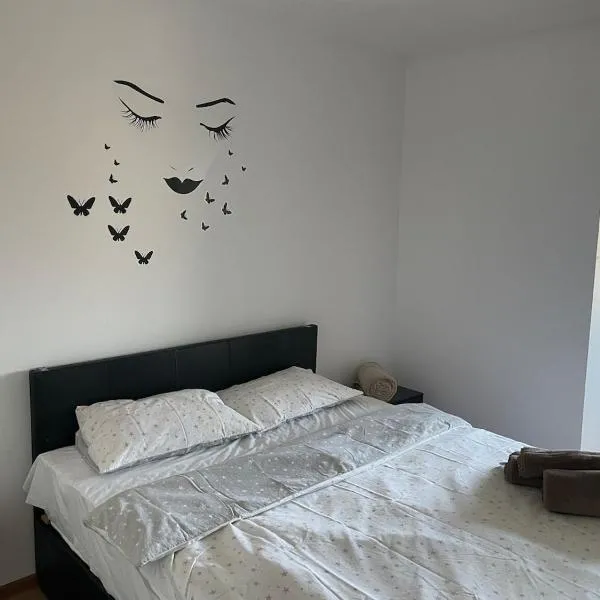 Inchiriez apartament central cu 1 camere et 4, hotel v destinaci Satu Mare