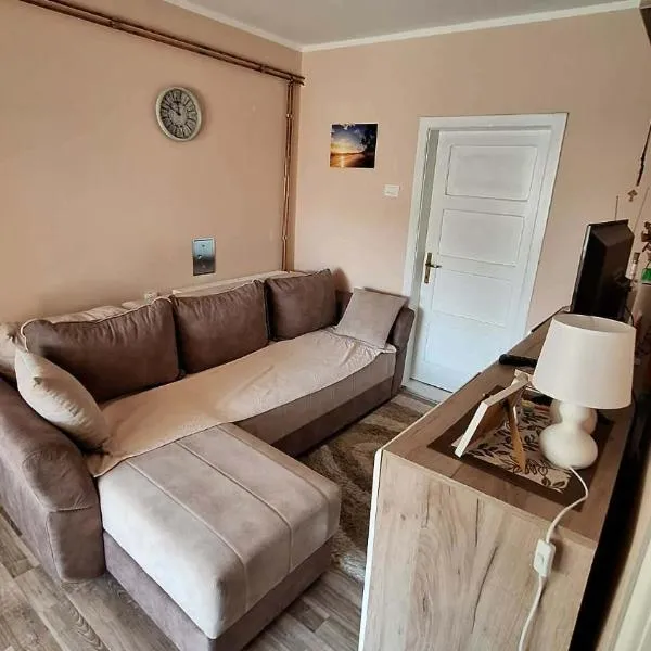 Seosko domaćinstvo Rada, hotel 
