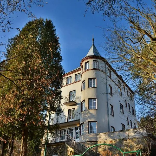 Rezydencja Zamek, hotel in Krynica Zdrój