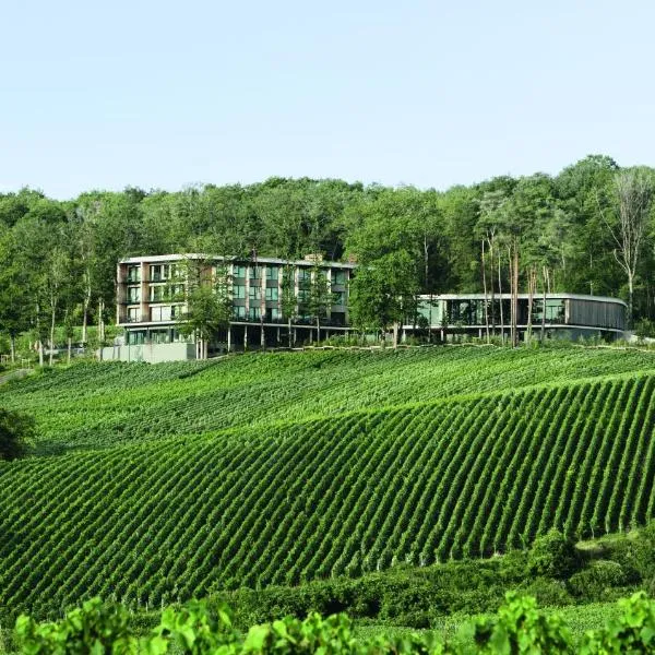 Viesnīca LOISIUM Wine & Spa Hotel Champagne pilsētā Mutigny