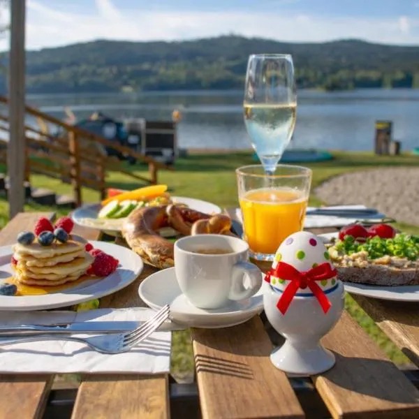 Amenity Hotel & Resort Lipno, hotel em Lipno nad Vltavou