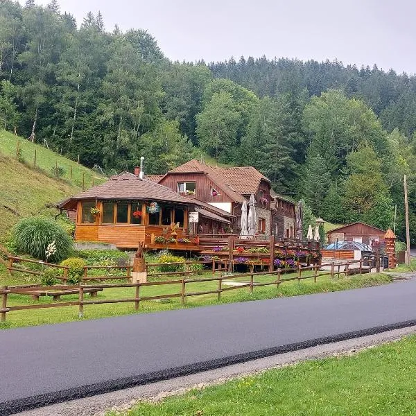 U Veselé lišky โรงแรมในHutisko