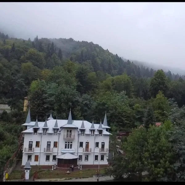 Hotel Eurosan, ξενοδοχείο σε Slănic-Moldova