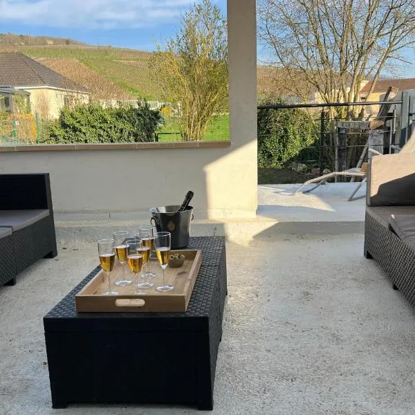 Charmant gîte au cœur des vignes - Rive de Champagne, Hotel in Vandières-sous-Chatillon