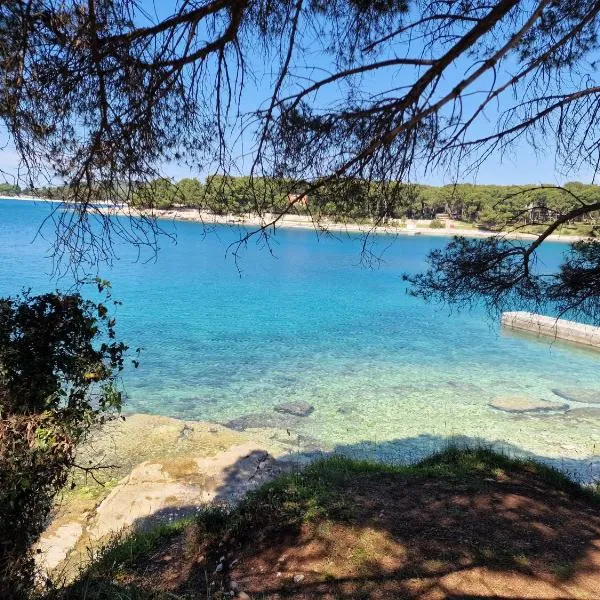 Nova Residence: Pula şehrinde bir otel