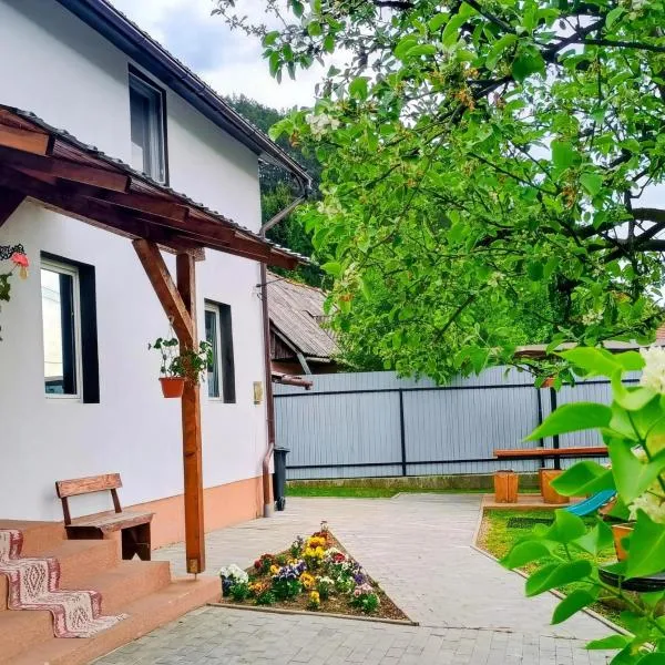 Topliţa में, होटल Casa MATEO