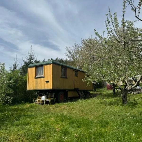 Cirkusz Udvar, Hotel in Kapolcs