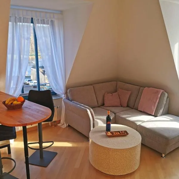 FeWo Elbblick mit großer Dachterrasse und Tiefgarage, hotel di Dresden
