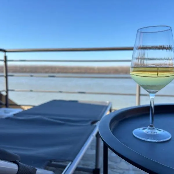 Blue River, sojenica na Dunavu, hotel u Beogradu