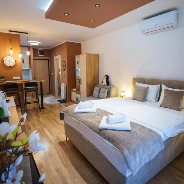 Stari Banovci에 위치한 호텔 Studio DORA SS