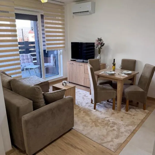 Apartman Kitanović 1 Vrnjačka Banja, hotel in Ruđinci