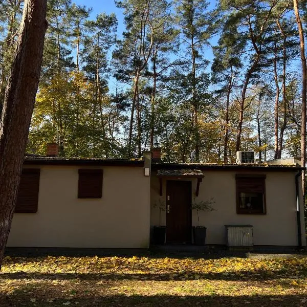 Domek na Morenowym Wzgórzu, nad jeziorem, hotel i Mierzyn