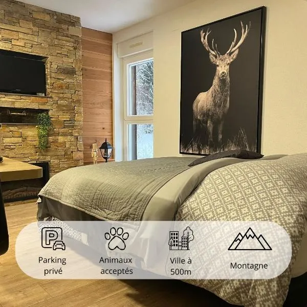 Studio Chalet des Pistes, Hotel in Gérardmer