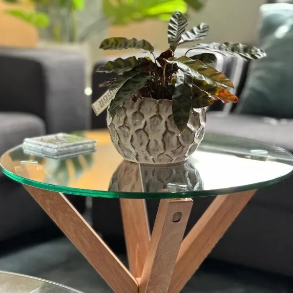 Daisy Cottage on Duke 2BR, ξενοδοχείο σε Yarram