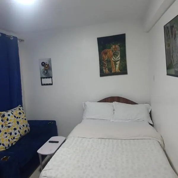 Annie's studio near Westside mall, ξενοδοχείο σε Νακούρου