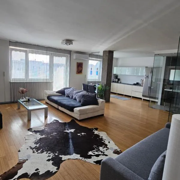 Modern Top Floor Loft, Private Terrace, Near Center & Free Parking, hotel din Trnávka