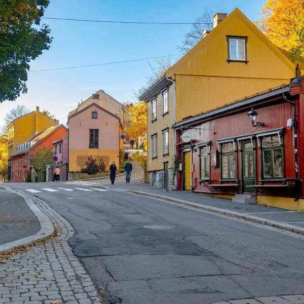 Window To The Most Iconic Old Street Oslo city Apartments with lift and free parking, hotel sa Oslo
