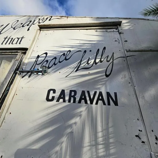 Ubuntu Backpackers, готель у місті Umtali