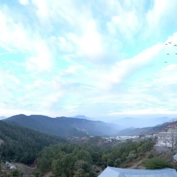 Hotel Chail Residency photo 2