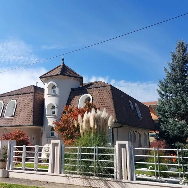 Villa Acer, Hotel in Novi Sad