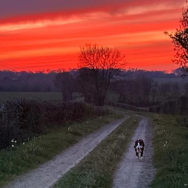 Gîte du Rossignol à 5 minutes du Château de la Citardière et à 14 minutes du Château de Bourneau, Hotel in Mervent