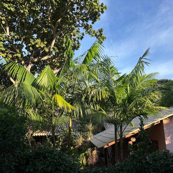 Espaço Amarelo - Foto 5