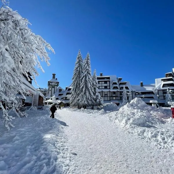 Apartments Konaci BOOKING, hotel di Kopaonik