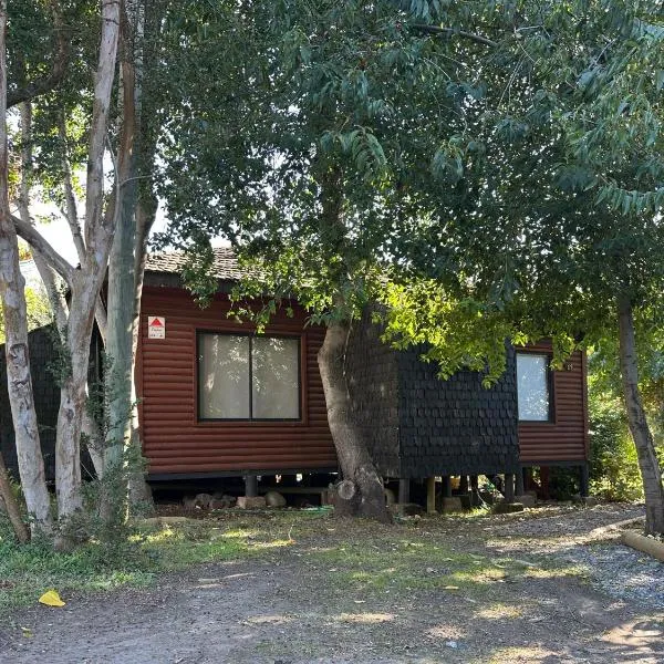 Cabaña Pingueral、ディチャトのホテル