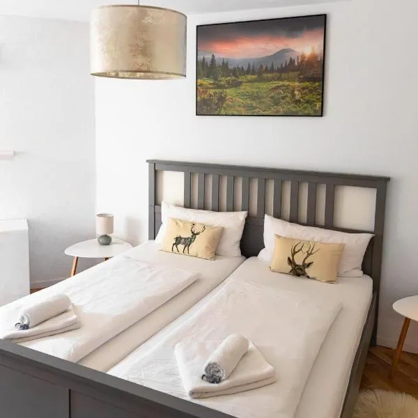 Ferienwohnung Panoramablick - super für deine Familie und die besten Aussicht in ganz Todtmoos, отель в городе Тодтмос