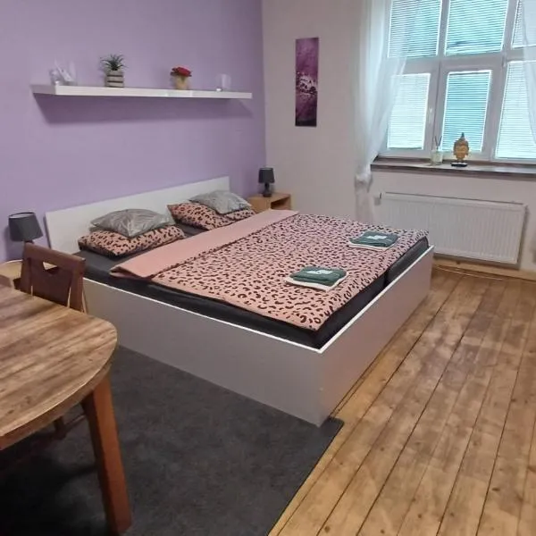 Bohumín में, होटल Ubytovaní U Dvora