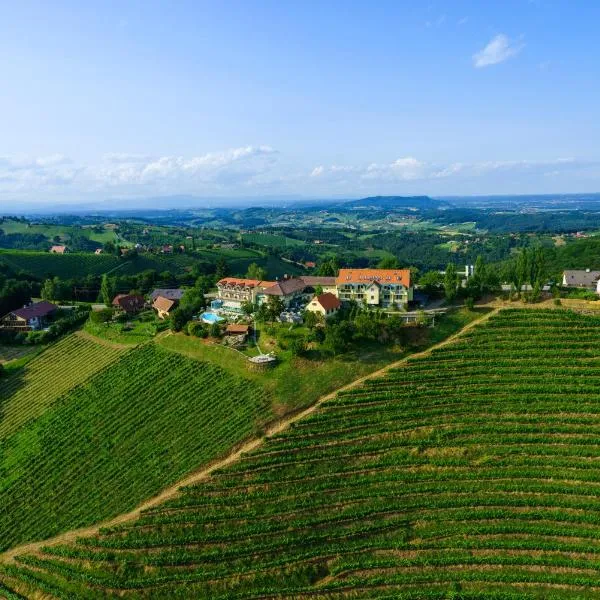 das kappel wein gut hotel, хотел в Китцек им Заусал