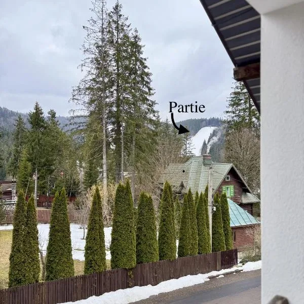 Vila Offline, Hotel in Predeal